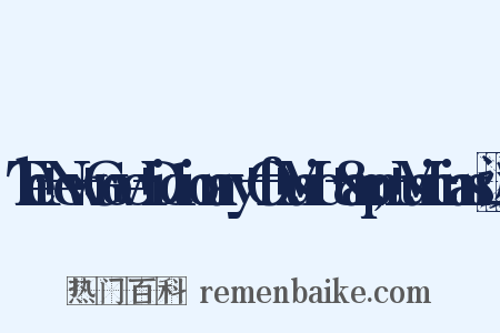 The+New+Grove+Dictionary+Of+Music+&amp;+Musicians近义词是什么意思的图片